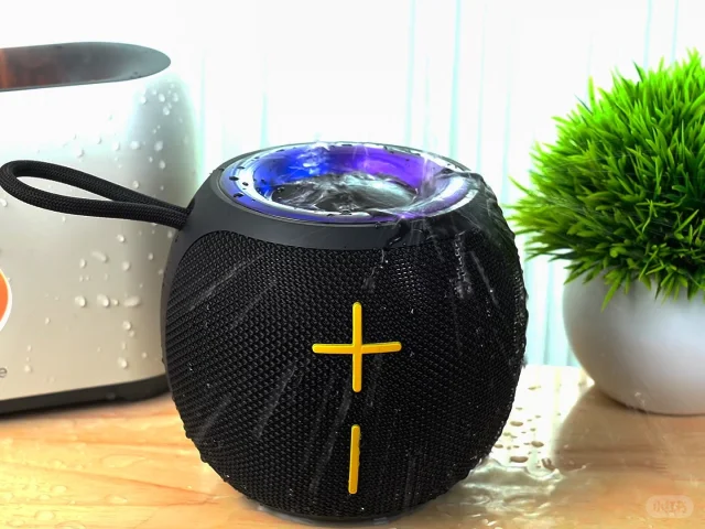 portable outdoor speaker